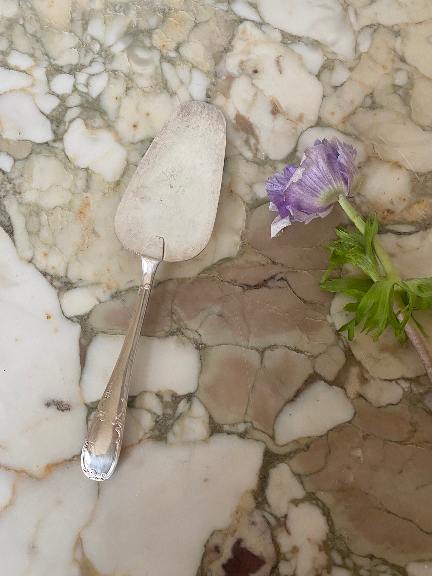 pelle à tarte en métal argenté