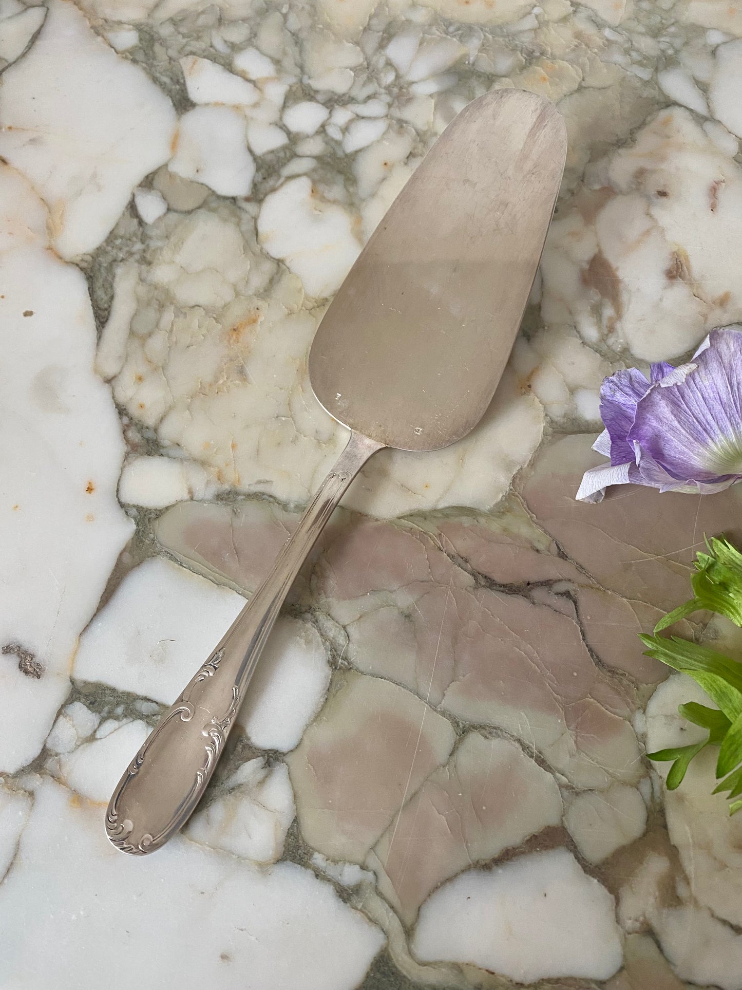 pelle à tarte en métal argenté