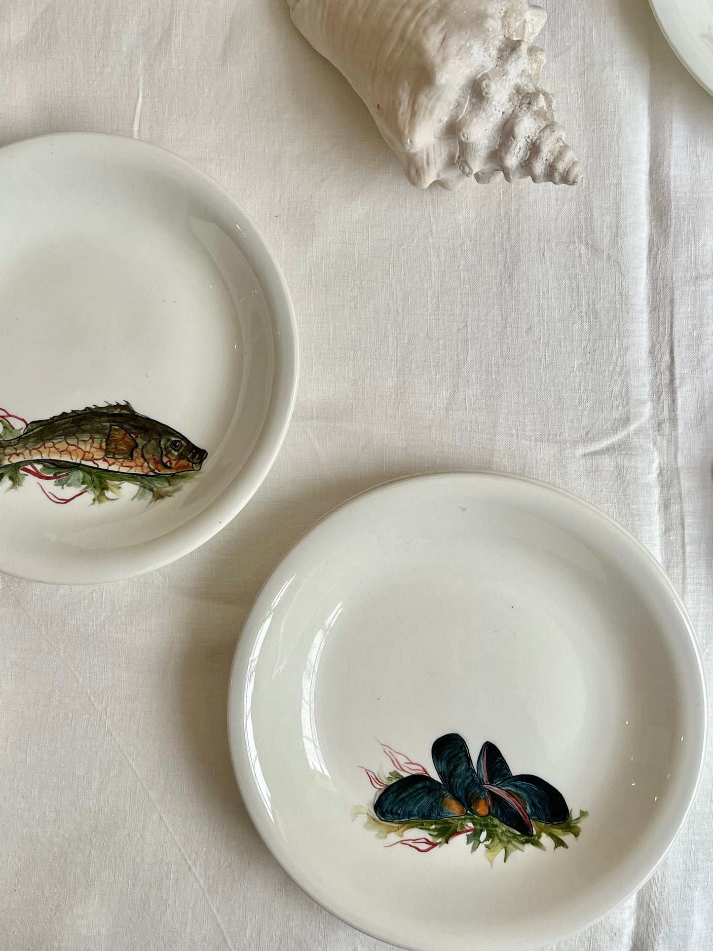 service de table - soupe de poisson